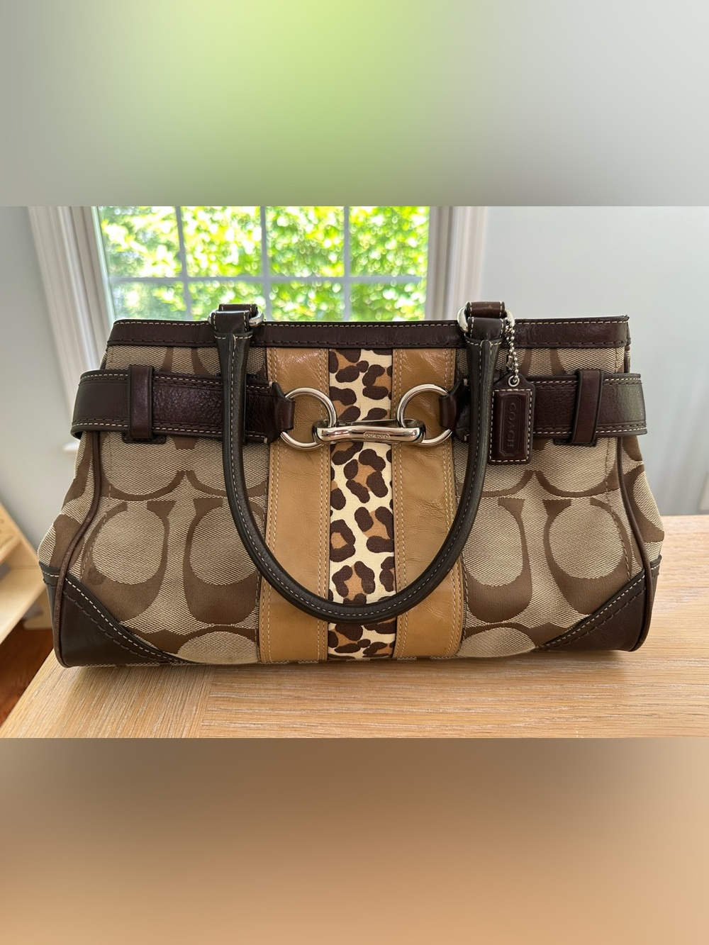 Vintage Y2K Coach Hamptons Signature Leopard Stripe Carryall Tote Bag F13073 EUC
